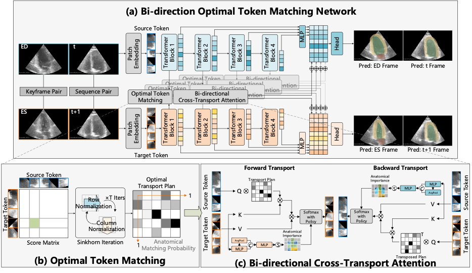 BOTM pipeline overview