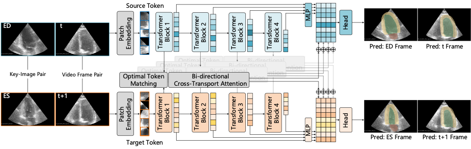 Step 1: Optimal Token Matching via Sinkhorn