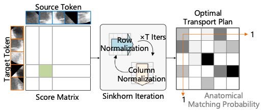 Step 2: Bi-directional Cross-Transport Attention