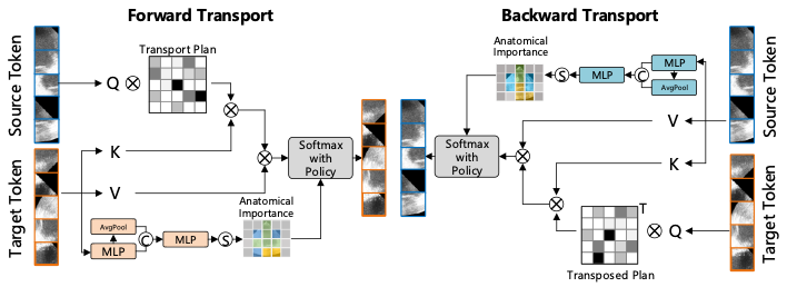 Step 3: Anatomical Importance Masking
